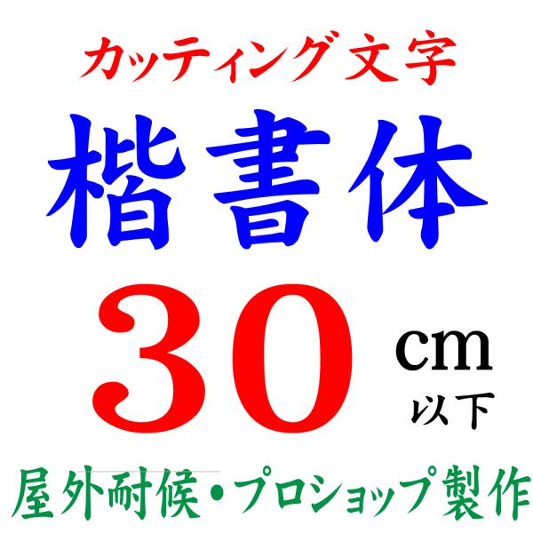 Oό   30ȉ JbeBO JbeBOV[g JbeBOV[ ؂蕶  XebJ[ XebJ[ ŔAWqȂ