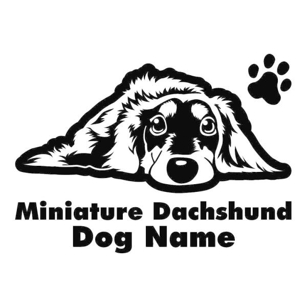 断トツ可愛い ミニチュアダックスフンド ステッカー 16 愛犬ネームが