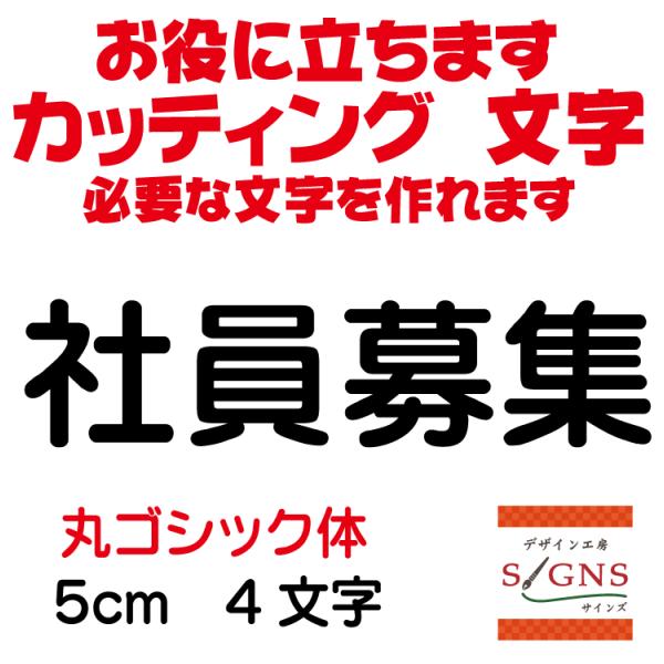 ЈW ۃSVbN  5cm JbeBOV[g  V[ ؂蕶  ʔ Oό ̑ Wq Abv