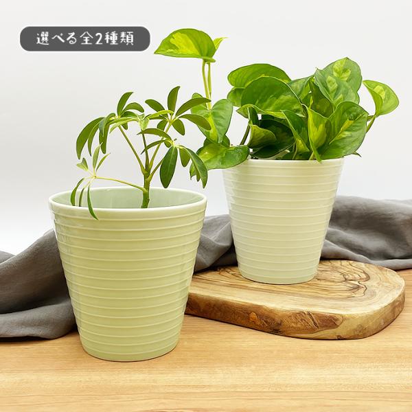 和モダンな雰囲気の陶器製プランターカバー 2個セット 選べる2色 プランターカバー 日本製 ポット 植木鉢 プランター 鉢