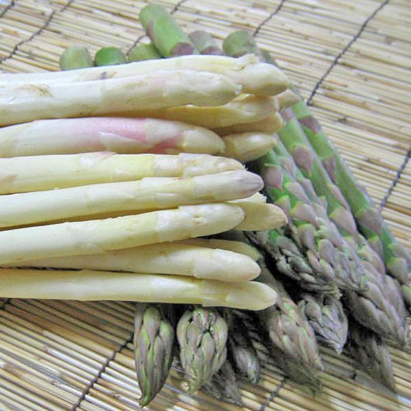 [Release date: May 20, 2026]【5月下旬から出荷を開始します】朝採りのアスパラを、採りたての豊かな味わいと甘さそのままに直送しています。冷え込む夜間に蓄積されたアスパラの糖質。北海道の内陸性気候地域に育つ、露地のア...
