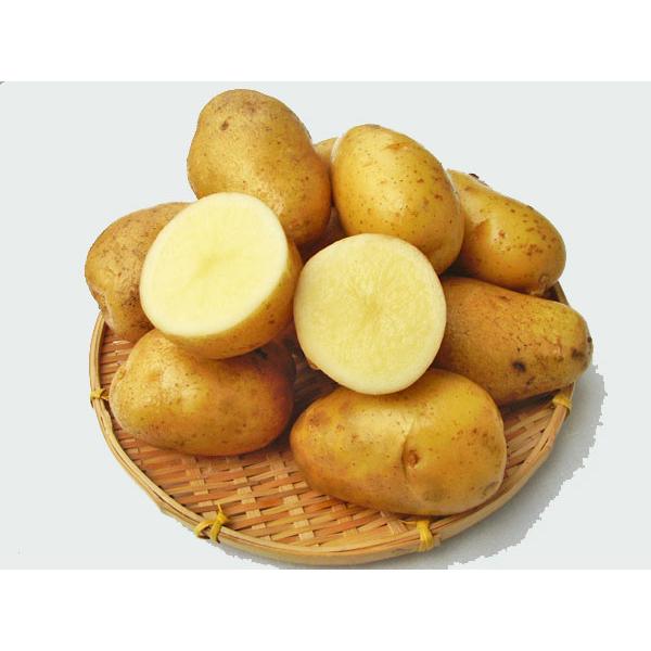 A[ il`kTCYj10Kg kCY Ⴊ o׎ 10`4 Y