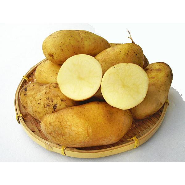 A| il`kTCYj5Kg kCY Ⴊ o׎ 10`4 Y