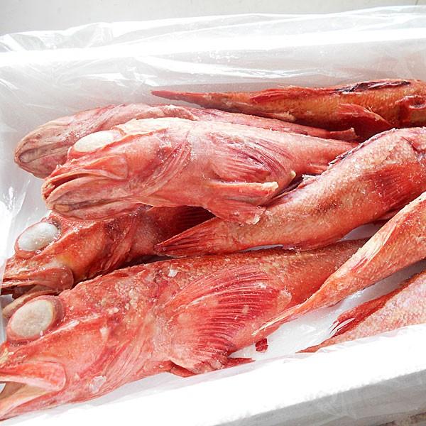 送料無料アラスカキチジ 喜知次 5kg Iqf冷凍 有頭8尾入 業務用 Buyee Buyee 提供一站式最全面最專業現地yahoo Japan拍賣代bid代拍代購服務