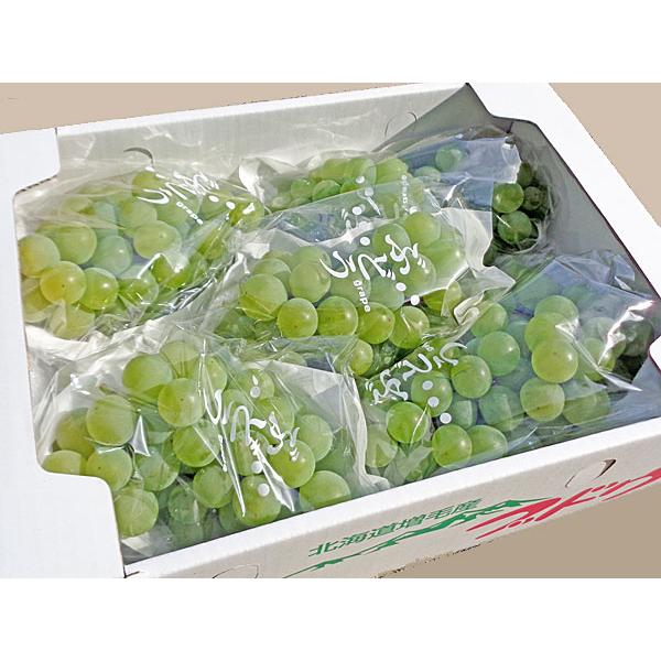 [Release date: September 10, 2026]【９月下旬から発送を開始します】ポートランドは、対寒性に優れ、特有の強いラブラスカ香を持つ、緑色のブドウです。房の大きさは250ｇ前後の中房で、ジューシーで、みずみずしく、...