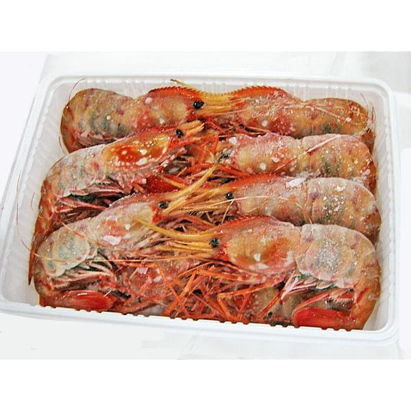 ボタンエビ 500g 子持ち 生冷凍 約10尾 数量限定商品 Ebi 007 旬をお取り寄せ 北海道四季工房 通販 Yahoo ショッピング