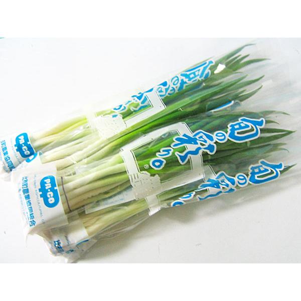 [Release date: January 10, 2026]【1月中旬から出荷を開始します】雪の下から掘り出してハウスに定植し、新芽を収穫する千本ねぎ。厳しい冬があってこその千本ねぎは、甘みが強く柔らかい食感が特徴で、ぬたや天ぷら、薬味...