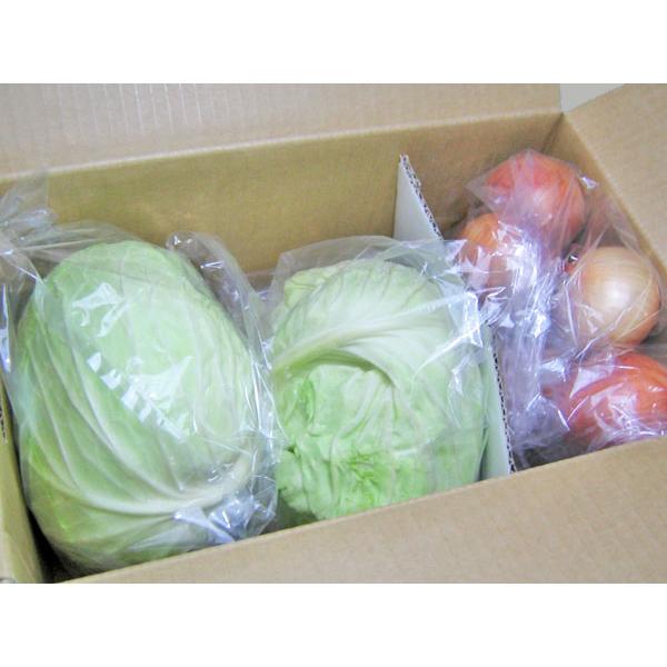 [Release date: December 20, 2025]【12月下旬から出荷を開始します】越冬キャベツは、畑に並べたキャベツを冬の間に降り積もる雪の中に貯蔵し、年明けに掘り出して出荷します。平均糖度は10度。みずみずしくシャキシャ...