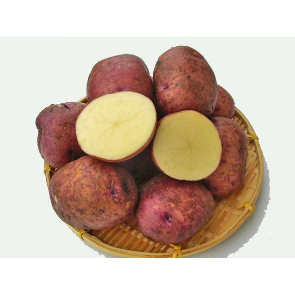 T~TLil`kTCYj10Kg kCY Ⴊ o׎ 10`4 Y