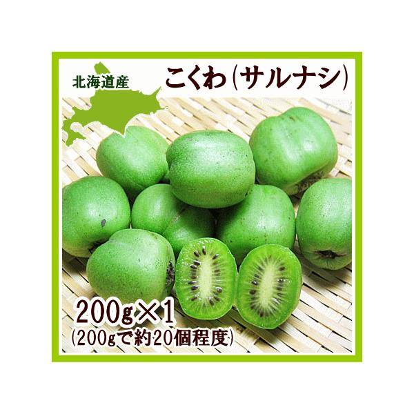 コクワ サルナシ 0g 1パック 北海道産 こくわ 出荷時期 9月 Buyee Buyee 일본 통신 판매 상품 옥션의 대리 입찰 대리 구매 서비스