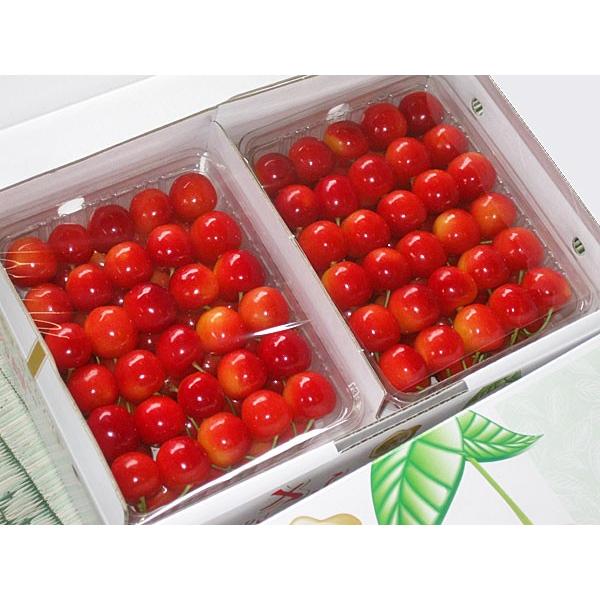 送料無料！さくらんぼサミット500✖️2パック Amazon.co.jp: 北海道産さくらんぼ サミット（2L・500g）×2