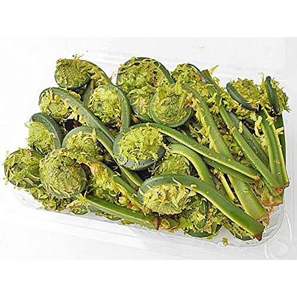 北海道産こごみ株ご確認用