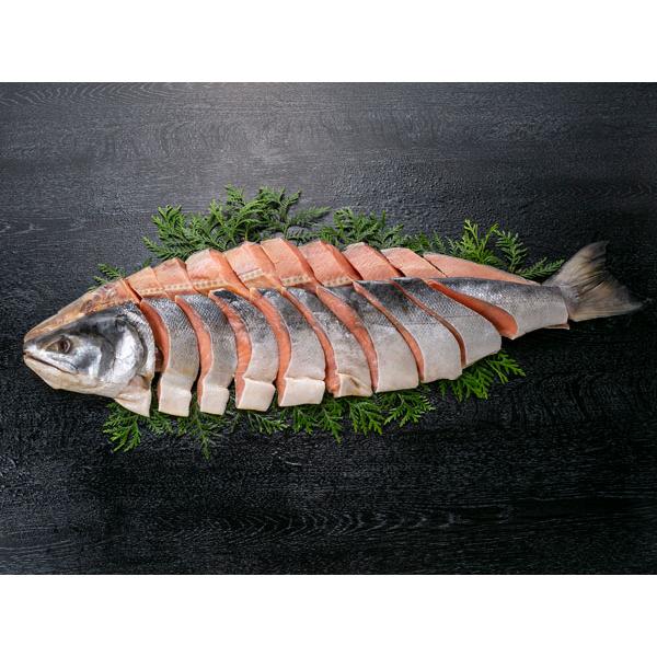 送料無料 北海道礼文・利尻島産 神の魚熟成新巻鮭姿切身1尾(1.8kg)