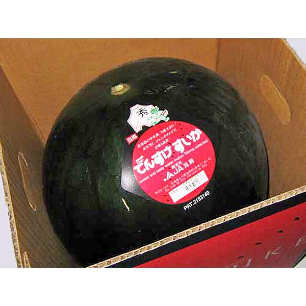 [Release date: July 10, 2026]【７月上旬から発送を開始します】ヨーロッパ原産の黒皮スイカと、日本の縞皮スイカを交配して改良した「でんすけスイカ」は、糖度11〜12度、果肉が締まり、シャリシャリ感抜群のスイカです。...