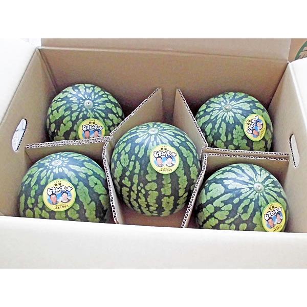 [Release date: July 10, 2026]【７月上旬から発送を開始します】北竜ひまわりスイカは、糖度11度のスッキリとした甘さのクリーム西瓜です。小玉サイズなので、冷蔵庫での保存に便利です。16戸の生産農園が、有機質肥料をた...