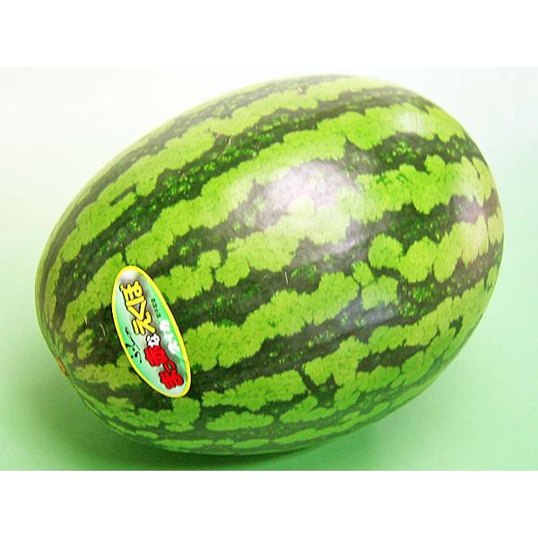 スイカえる 千葉県産 富里市産すいか 3Lサイズ2個入り【お届け期間:6/6(金