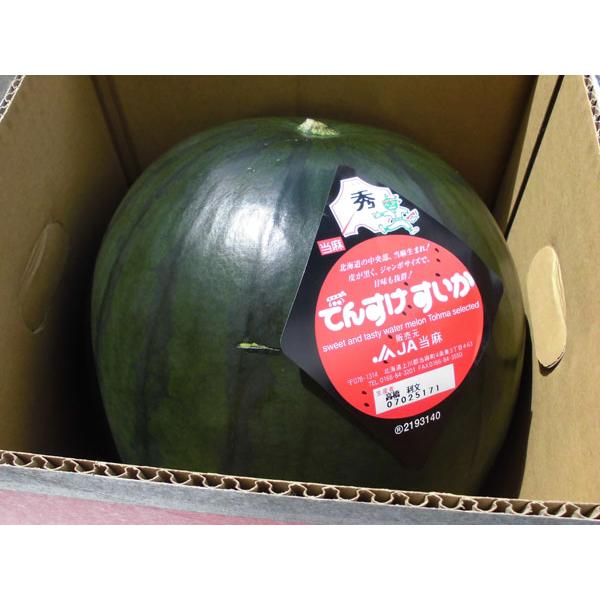 [Release date: July 10, 2026]【７月上旬から発送を開始します】ヨーロッパ原産の黒皮スイカと、日本の縞皮スイカを交配して改良した「でんすけスイカ」は、糖度11〜12度、果肉が締まり、シャリシャリ感抜群のスイカです。...