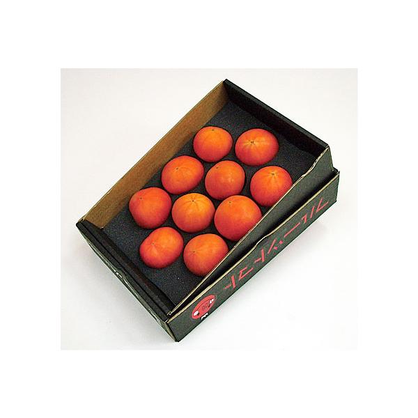 [Release date: June 25, 2026]【６月中旬から出荷を開始します】トマト本来の甘さと旨味が、ひとつのトマトに凝縮しています。有機質肥料を施し、水分を限界まで抑えて、手間をかけたトマトの糖度は、通常のトマト（糖度4度）...