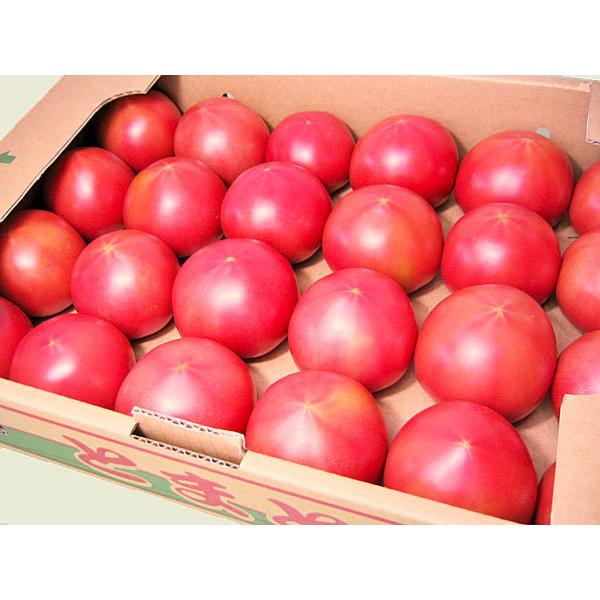 [Release date: June 5, 2026]【６月中旬から出荷を開始します】2003年（平成15年）、トマト部門でYES！clean認証登録された、JAびえいトマト生産部会のトマト栽培の基本は、土づくりにあります。冬期間は、ハウ...