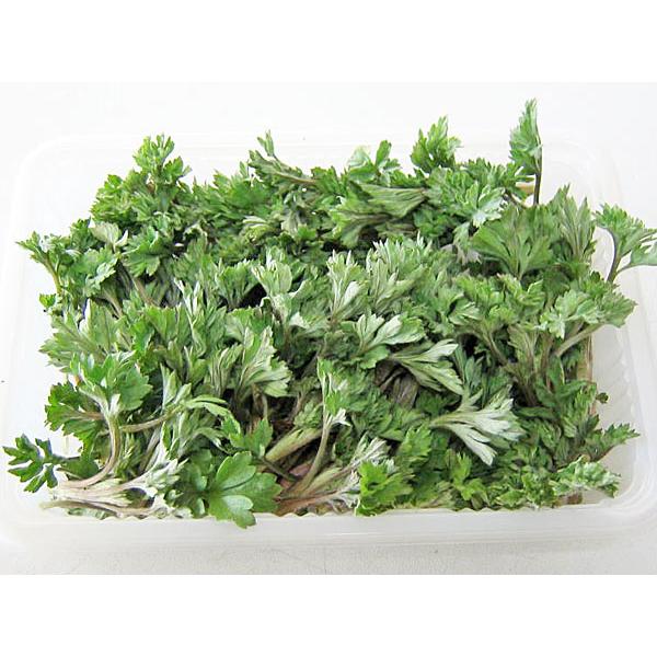 [Release date: May 10, 2026]【5月上旬から出荷を開始します】ヨモギ（蓬）は、野原や河川敷など、日当たりの良い場所に幅広く自生するキク科の多年草で、とても香り豊かな山菜です。よもぎ餅（草餅）、てんぷら、もつ鍋の葉菜...