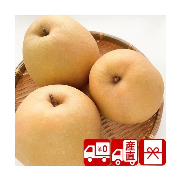 貰って嬉しい、鳥取県産 王秋梨 3.5kgのギフト。内祝い お祝い お返し お礼 お歳暮 御年賀 年末年始 新年のご挨拶に！お世話になったあの方へ。主なご利用用途&amp;おすすめはこちら葬儀 香典返し 法要 四十九日 満中陰志 粗供養 一...