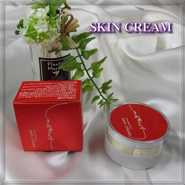 wʂӁx@XLN[@sňԔĂێN[E{