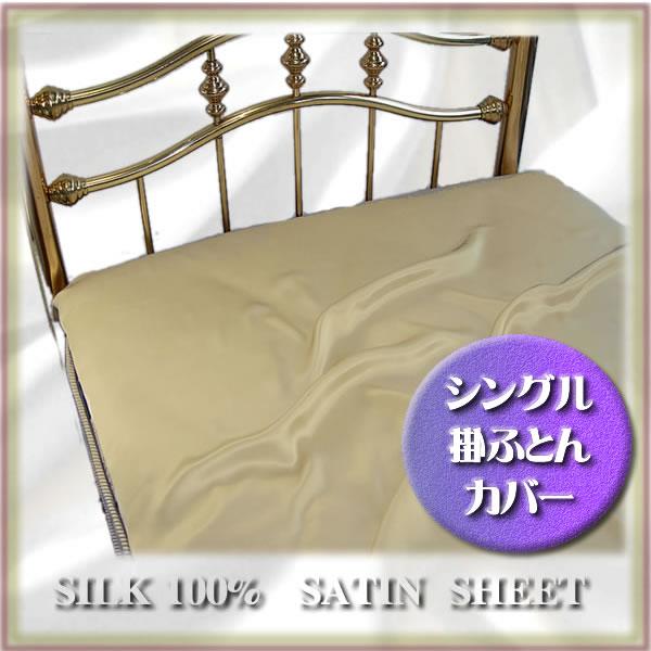 19VN100|ӂƂJo[VO S[h   ̖