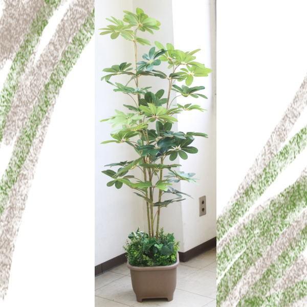  CeA ϗtA ^ J|bNc[150 TB938 DG snb CTG} lHϗtA tFCNO[ bgr