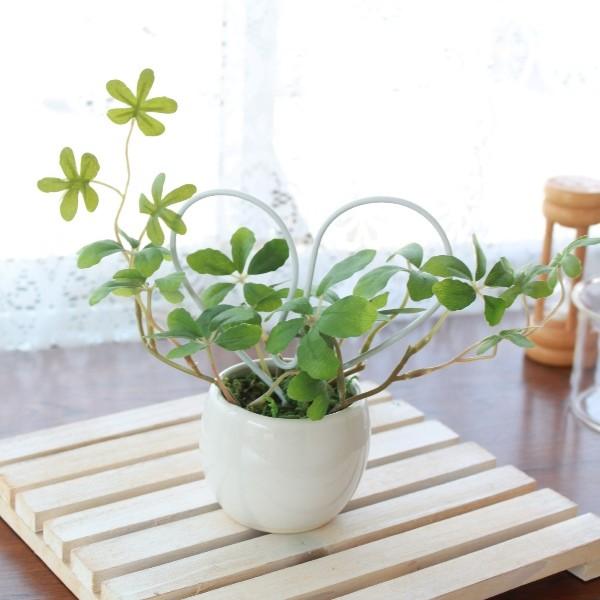 tFCNO[ u[n[g̃v`O[ VK[oC  CTG} mgr