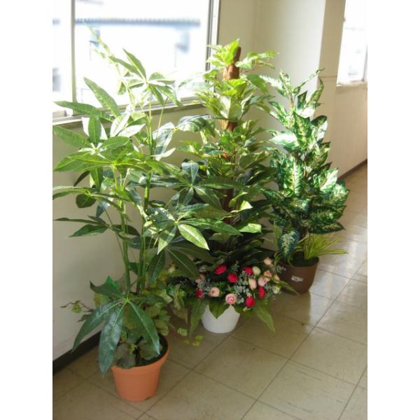  CeA ϗtA ^ tFCN CeAO[3{ snb CTG} lHϗtA tFCNO[ bgr