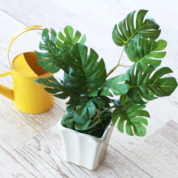 サイズ：約高さ16×幅15×奥行13cm＊商品の仕様は変更になる場合がございますオフィス・事務所の緑化や、自宅の玄関やキッチン、寝室や書斎のデスクやテーブル、トイレやお風呂場・洗面台など、お部屋の癒やしのインテリアに。いつまでも枯れない爽や...