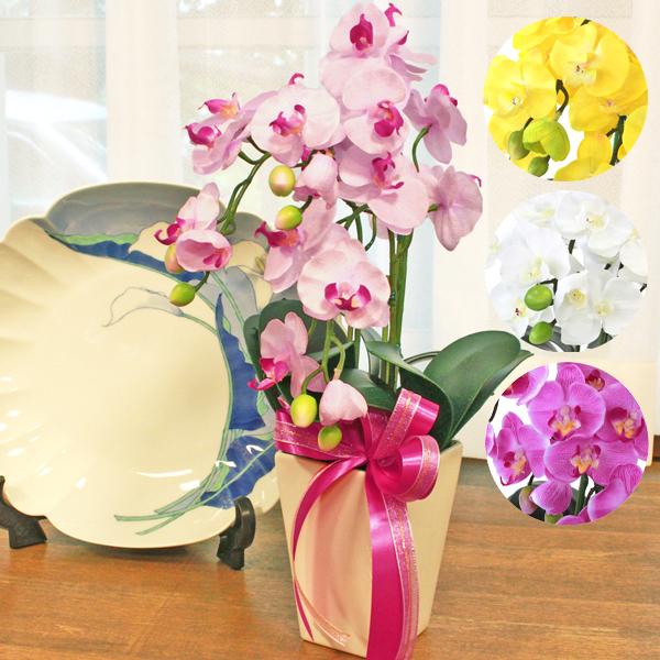 Ӓ  Mtg VNt[̃~jӒ 荠ȑ傫̔A 3{ j Vzj JXj CTG} ̓ bpl