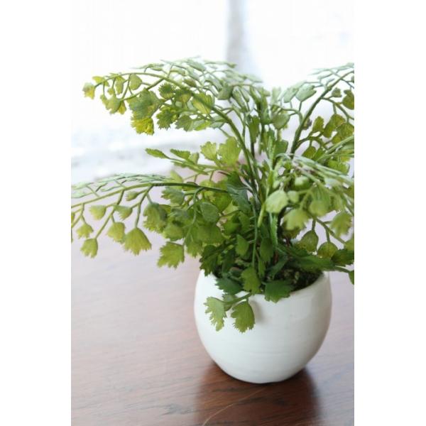 観葉植物 造花 プチグリーンアレンジ アジアンタム Vg Ct触媒 Buyee Buyee Japanese Proxy Service Buy From Japan Bot Online