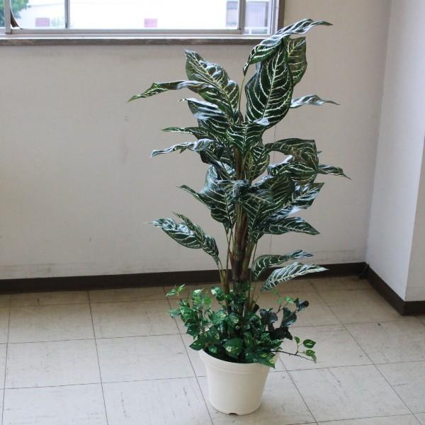  CeA ϗtA ^ ~fBATCYO[ [u 110 snb CTG} lHϗtA tFCNO[ bgr