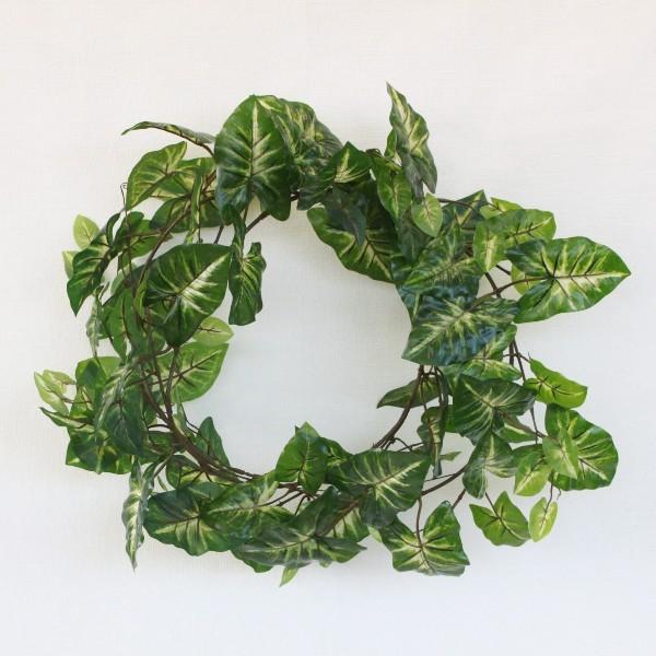  EH[^[v[tVSWEK[hLEG-3046 ϗtA CTG} lHϗtA tFCNO[ tan