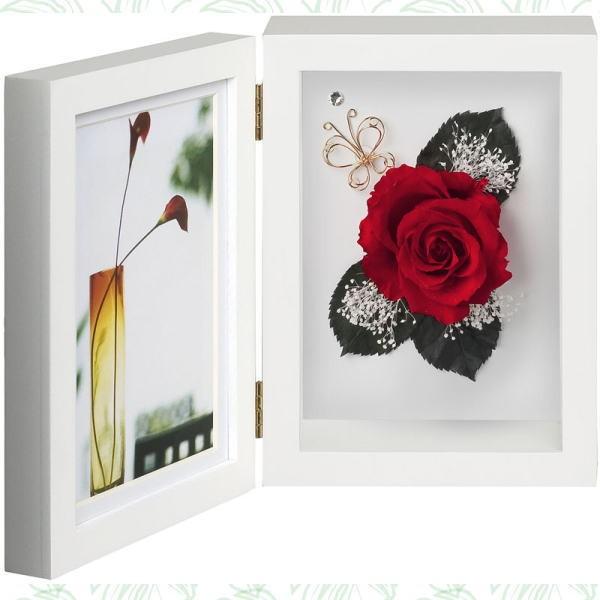 A vtHgt[ vU[uht[ SD-4650R SD-3650R Mia zak