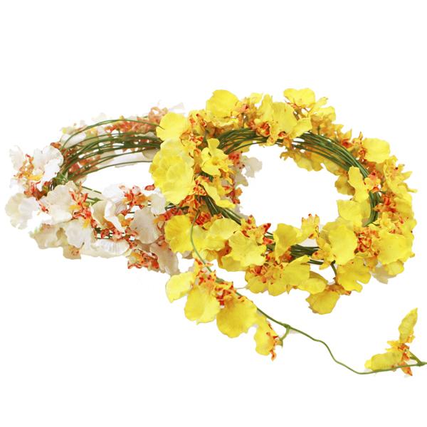  ~j[XɂȂ邨ȃIVWẼK[h F2Zbg CTG} tan