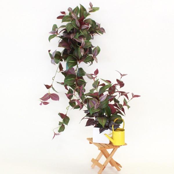  _OuĊ|ăZbg ϗtA VNt[ CTG} tFCNO[ AW CeA t[AW t[AWg arg