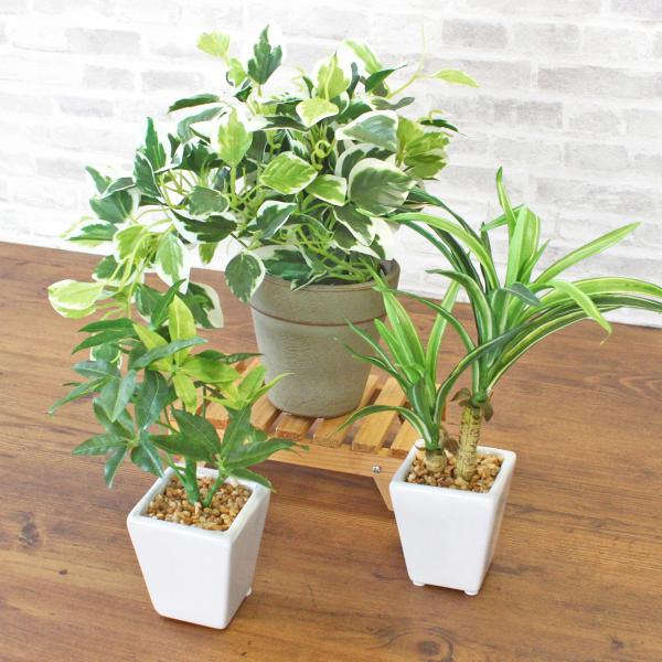 34 割引 安心発送 フェイクグリーンポリシャスパニキュラータ170cm鉢植ct触媒 花 ガーデニング Diy 工具 Urbanfarminginstitute Org