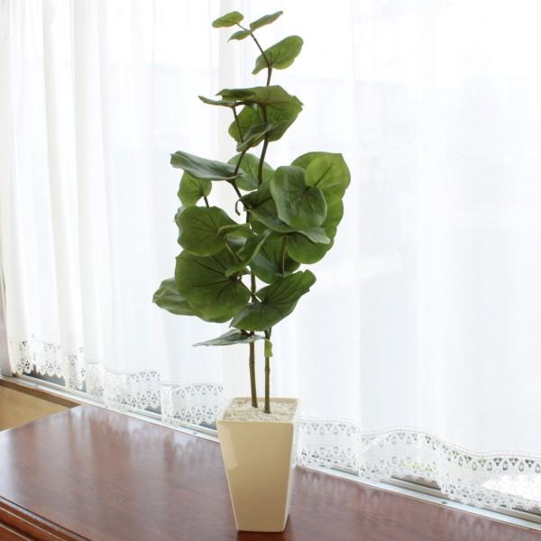  V[O[v|bg 82 VT342,300 CTG} lHϗtA tFCNO[ VNt[ bgr