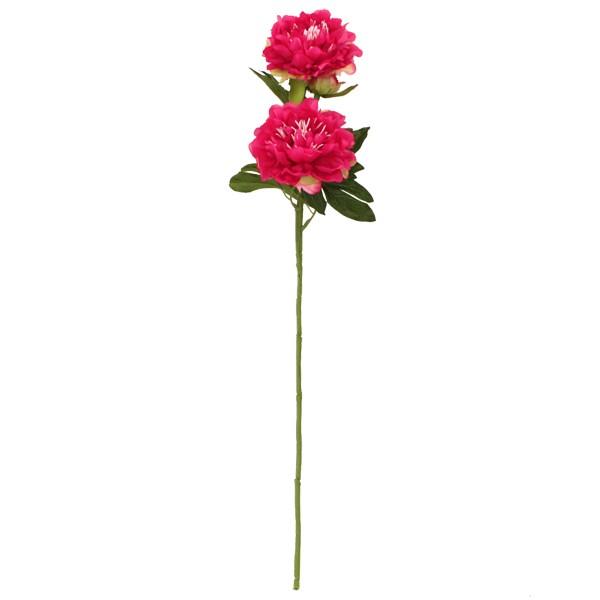 ゆきみね様　オーダーページ　芍薬MIX ゆきみね様 オーダーページ 芍薬MIX MDS BtoB |在庫限り_#サクラ