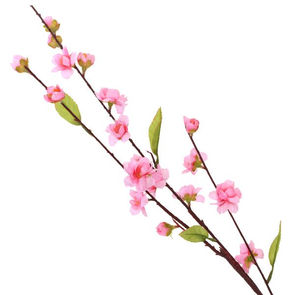   ̑} 67cm }     FM4463 fBXvC tan