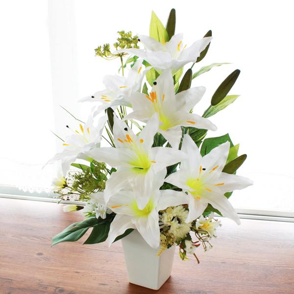 JTuJ  傫ȃJTuJ̃AW VNt[ CTG} CeA t[AW t[AWg arg