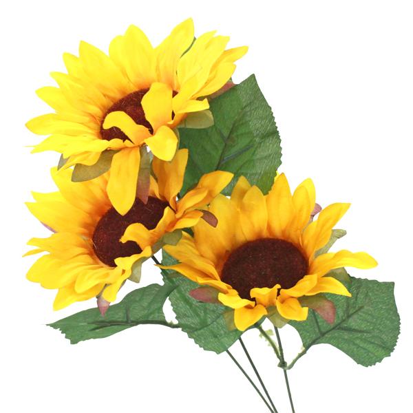  Tt[Xv[ S60cm 4522 Ђ܂  q} VNt[ CTG} tan