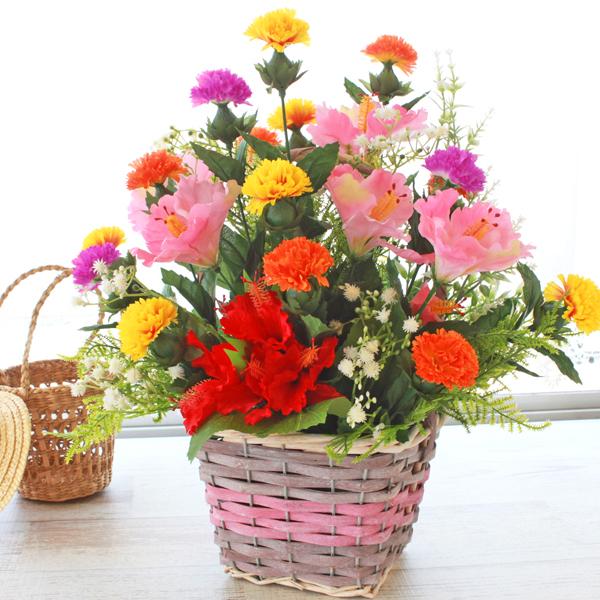  JtȃxjoiƃnCrXJX̉Ă̂AW VNt[ CTG} CeA t[AW t[AWg arg