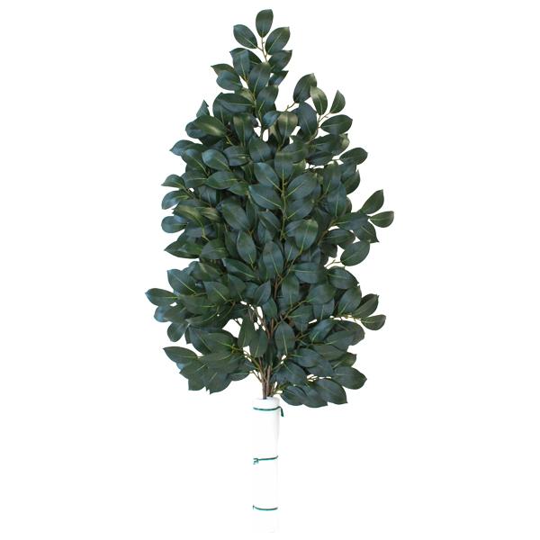    100cm { VNt[    _ n _ CTG} bgr