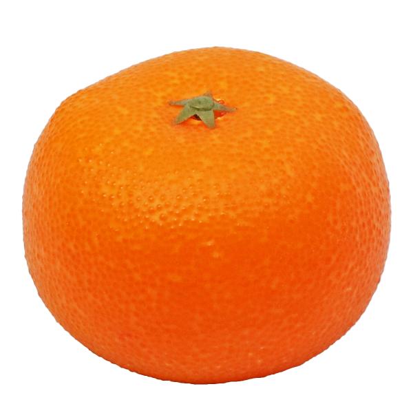 仏様のお供えに便利なフェイクフルーツです。模型(食品サンプル)なので、食べきれないお供えの果物の処理に悩んだり、傷んだり腐ったりせず、みずみずしさが続きお手入れも簡単です。日常的な使用はもちろん、特に旅行や長期外出で交換ができない時や、暑さ...