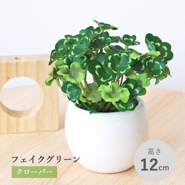 silkflower_2508-1232