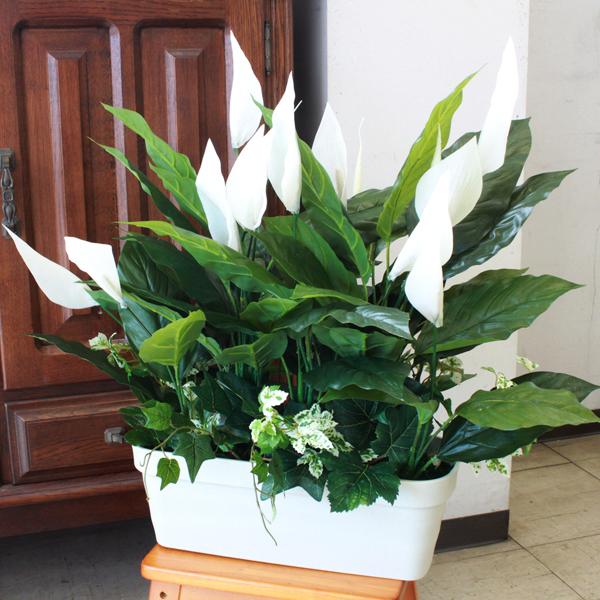 ϗtA  XpeBtB̂₷炮CeAO[ 60 VP1415 VNt[ CTG} lHϗtA tFCNO[ t[AWg arg