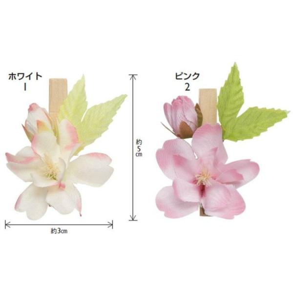 { Nbv 3×5cmE20 Mtg v[g bsOpi ԑ AWg    |